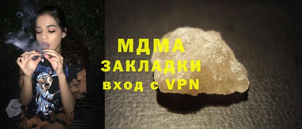 индика Няндома