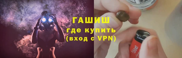индика Алзамай