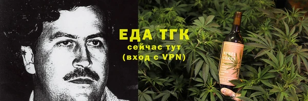 индика Няндома